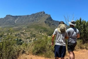 Private Walking Tour: Cape Town Inner City &Main Attractions