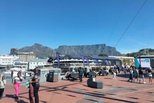 Tour a pie privado: Ciudad del Cabo y Principales Atracciones