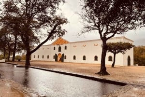 Privétour wijnproeven: Stellenbosch en Franschhoek