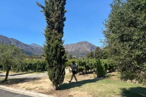 Privétour wijnproeven: Stellenbosch en Franschhoek