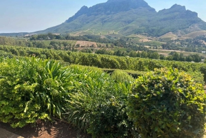 Privétour wijnproeven: Stellenbosch en Franschhoek