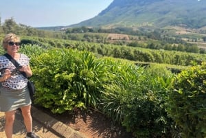 Privétour wijnproeven: Stellenbosch en Franschhoek