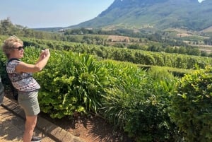 Privétour wijnproeven: Stellenbosch en Franschhoek