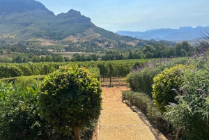 Privétour wijnproeven: Stellenbosch en Franschhoek