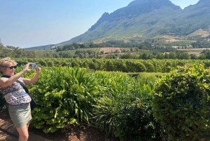 Privétour wijnproeven: Stellenbosch en Franschhoek
