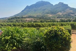 Privétour wijnproeven: Stellenbosch en Franschhoek