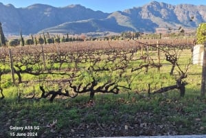 Private Wine Tasting tour