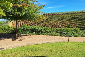 Private Wine Tasting tour