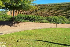 Private Wine Tasting tour