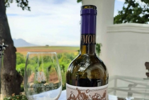 Private Wine Tasting tour