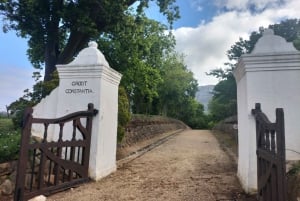Privat vinresa: Besök Stellenbosch, Franschhoek &Paarl