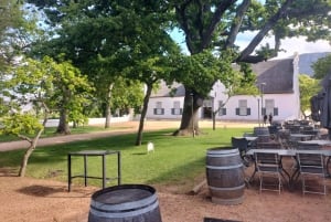 Yksityinen viinikierros: Stellenbosch, Franschhoek &Paarl.