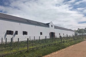Tour privado del vino: Visita Stellenbosch, Franschhoek y Paarl