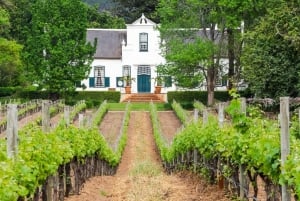 Privat vinrejse: Besøg Stellenbosch, Franschhoek &Paarl