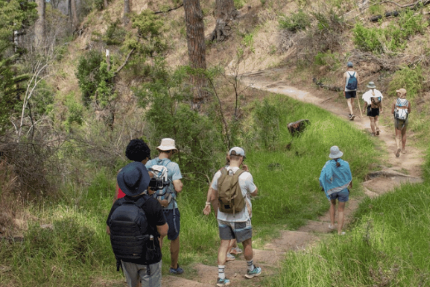 Yksityinen opastettu kävelyseikkailu vuorilta merelle, kierros, CT