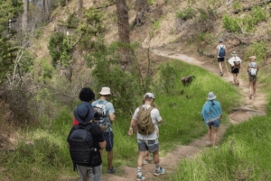 Yksityinen opastettu kävelyseikkailu vuorilta merelle, kierros, CT