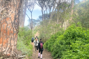 Yksityinen opastettu kävelyseikkailu vuorilta merelle, kierros, CT