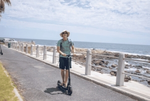 Yksityinen opastettu kävelyseikkailu vuorilta merelle, kierros, CT