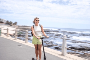 Yksityinen opastettu kävelyseikkailu vuorilta merelle, kierros, CT