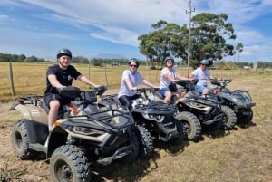 LE CAP : PROMENADE EN QUAD À L'OSTRICH RANCH, DURBANVILLE