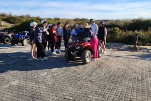 Quad bike Sand Dunes Cape Town