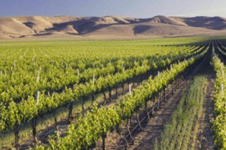 R62 Wine Tours