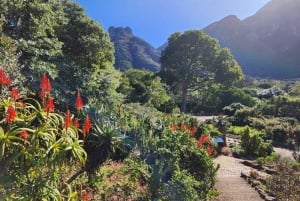 Cape Town: Robben Island, Kirstenbosch Garden & vinsmagning
