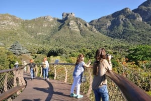 Cape Town: Robben Island, Kirstenbosch Garden og vinsmaking