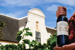 Кейптаун: остров Роббен, сад Кирстенбош и дегустация вин