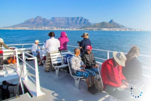 Le Cap : Robben Island, Kirstenbosch Garden et dégustation de vins