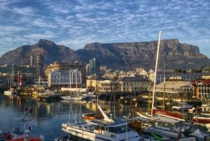 From Cape Town: Robben Island and City Tour