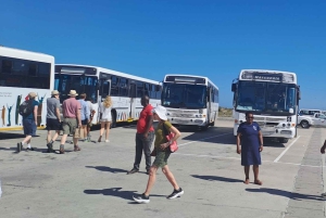Experiência de teleférico em Robben Island e Table Mountain