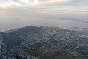 Tour de día completo por la Isla Robben y la Montaña de la Mesa en Ciudad del Cabo