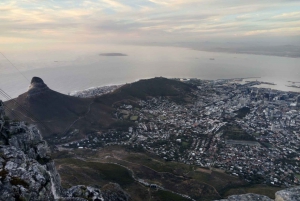 Tour de día completo por la Isla Robben y la Montaña de la Mesa en Ciudad del Cabo