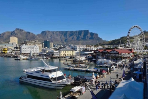 Tour di mezza giornata a Robben Island e al V&A Waterfront