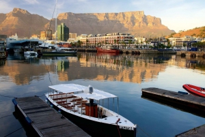 Tour di mezza giornata a Robben Island e al V&A Waterfront