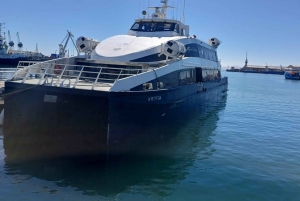 Robben-øya, Kapp det gode håp, Penguin, Muizenberg, Bokaap