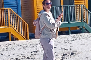 Robben-øya, Kapp det gode håp, Penguin, Muizenberg, Bokaap