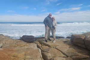 Ciudad del Cabo: Isla Robben, Cabo de Buena Esperanza y Tour de los Pingüinos