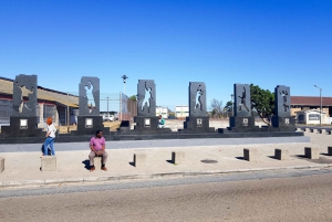 Cape Town: Robben Island Ferry Ticket and Townships Tour
