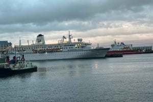 Robbeneiland Halfdaagse tour met vooraf geboekte ticket (s)