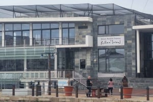 Tour di mezza giornata a Robben Island con biglietto prenotato in anticipo