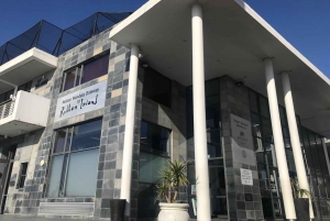 事前予約チケット付きロベン島半日ツアー