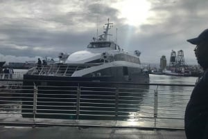 事前予約チケット付きロベン島半日ツアー