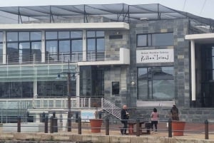 Robben Island Halvdagstur med forhåndsbestilt billett