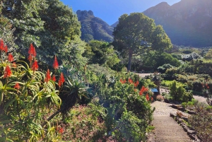 Robben Island, degustazione di vini a Kirstenbosch Tour