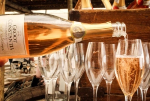 Robben Island, degustazione di vini a Kirstenbosch Tour