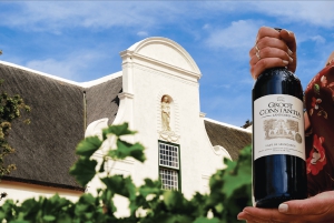 Robben Island, degustazione di vini a Kirstenbosch Tour