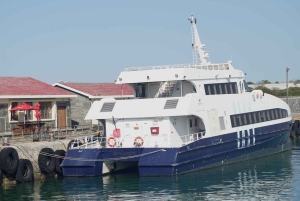 Robben Island Museum and Cape Town City Tour