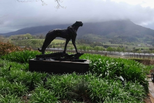 Robben Island, Penguins & Cape of Good Hope Adventure